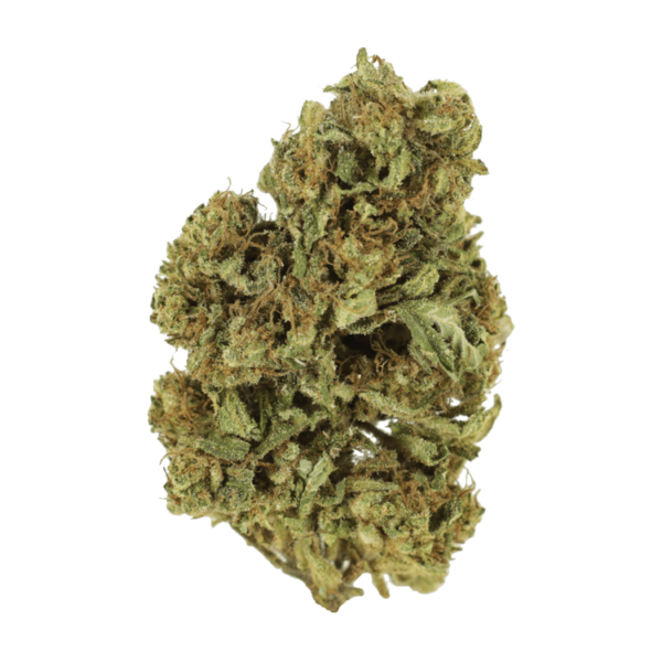 Cherry Wine (CBD) | West Coast Cannabis Canada