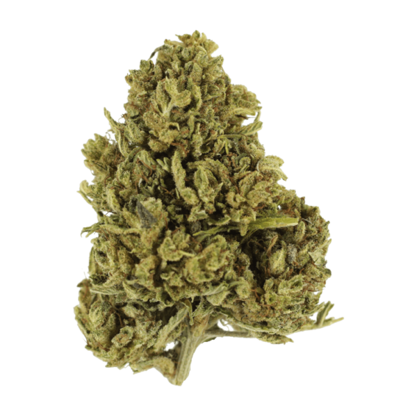 Cherry Wine (CBD) | West Coast Cannabis Canada