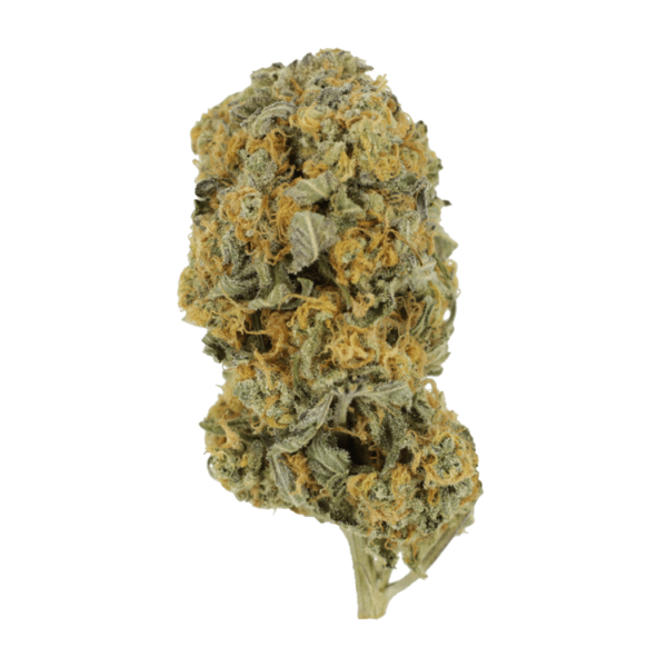 Sour Prince | West Coast Cannabis Canada