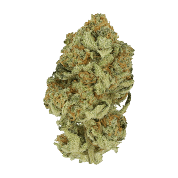 Black Cherry Punch | West Coast Cannabis Canada