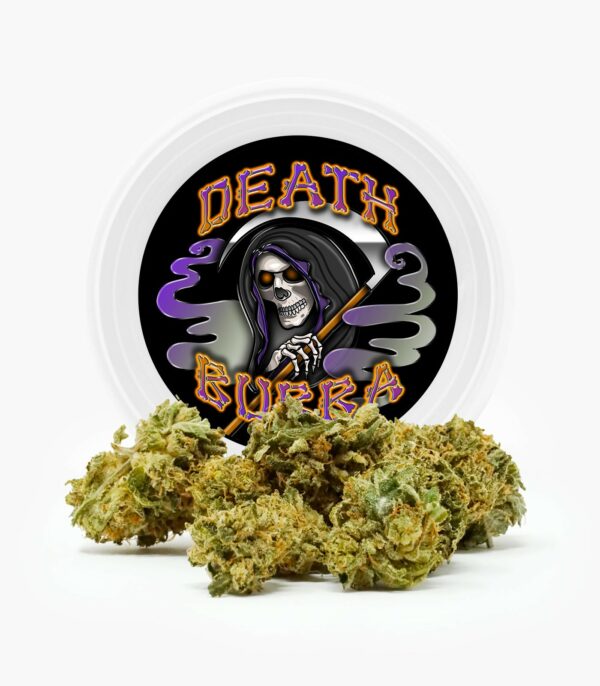 Westcoast Cali Tins – Premium Flower – Skywalker OG – 3.5g | West Coast Cannabis Canada