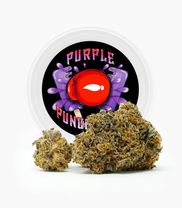 Westcoast Cali Tins – Premium Flower – Purple Punchsicle – 14g | West Coast Cannabis Canada