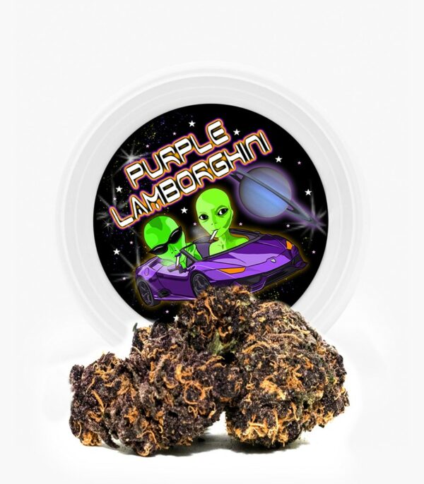 Westcoast Cali Tins – Premium Flower – Purple Lamborghini – 3.5g | West Coast Cannabis Canada