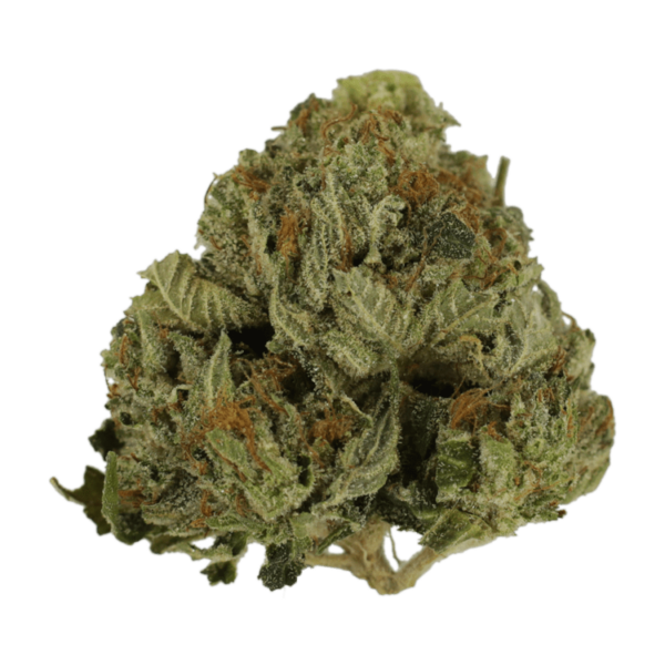 Pink Animal – 1 ounce | West Coast Cannabis Canada