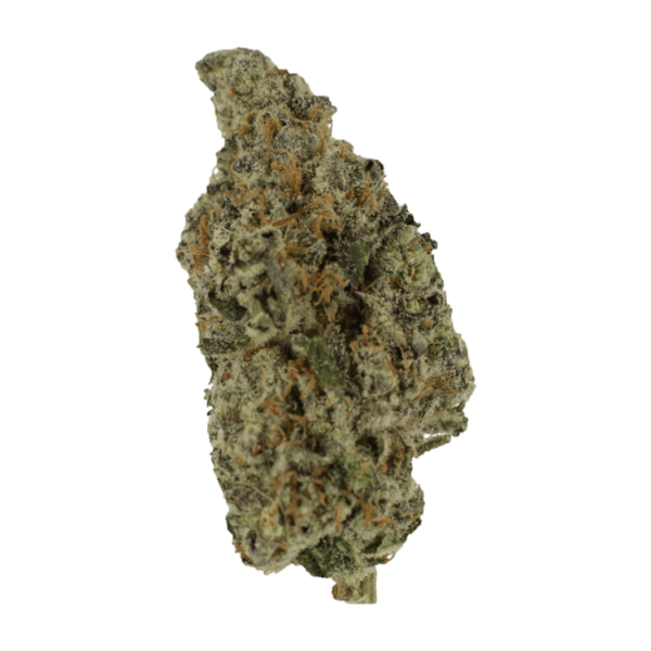 Biscotti Sundae | West Coast Cannabis Canada