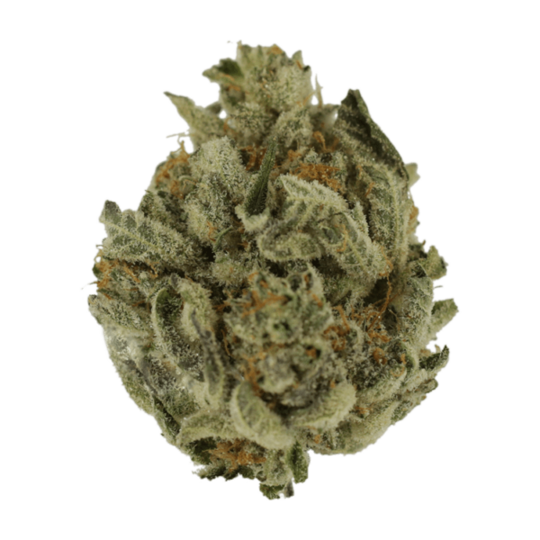 Biscotti Sundae | West Coast Cannabis Canada