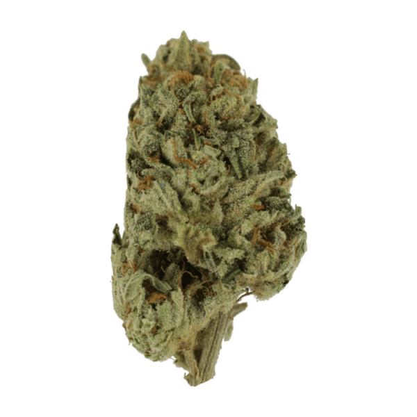 Biscotti Sundae | West Coast Cannabis Canada