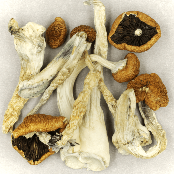 Treasure Coast | West Coast Cannabis Canada