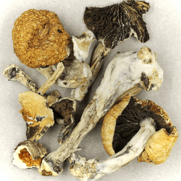 Treasure Coast | West Coast Cannabis Canada