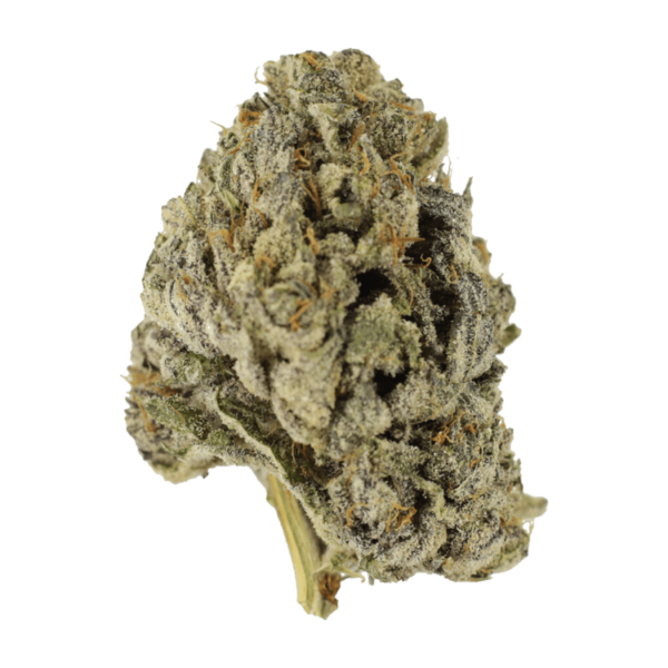 Sugar Pine | West Coast Cannabis Canada