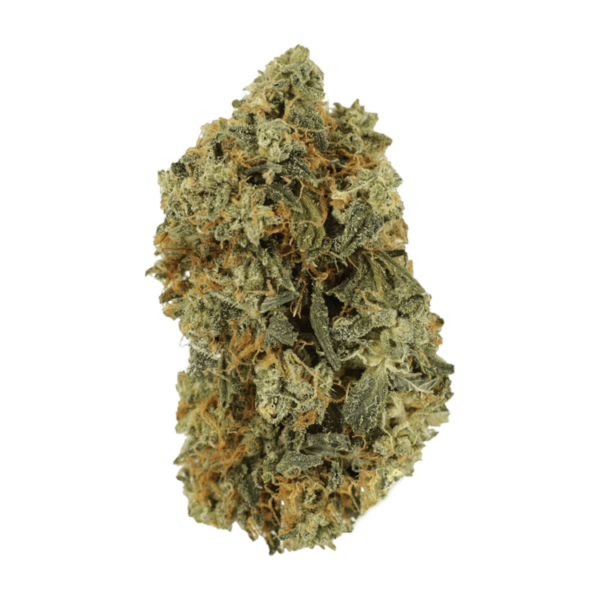 Blackwater | West Coast Cannabis Canada
