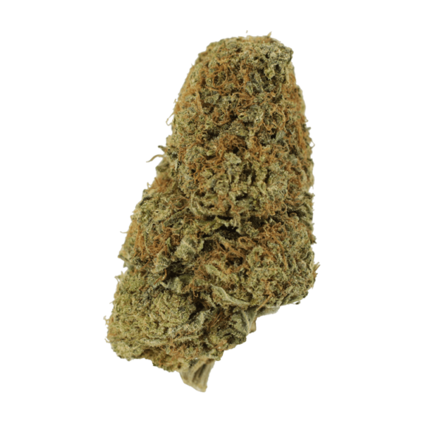 Sugar Pine | West Coast Cannabis Canada