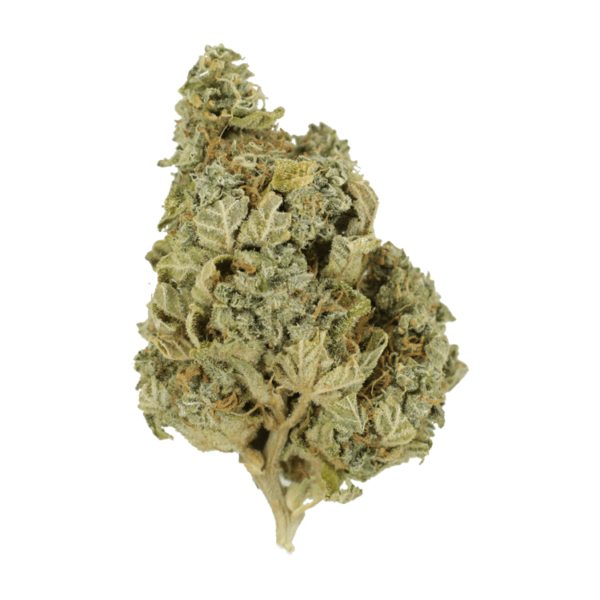 Khalifa Kush | West Coast Cannabis Canada