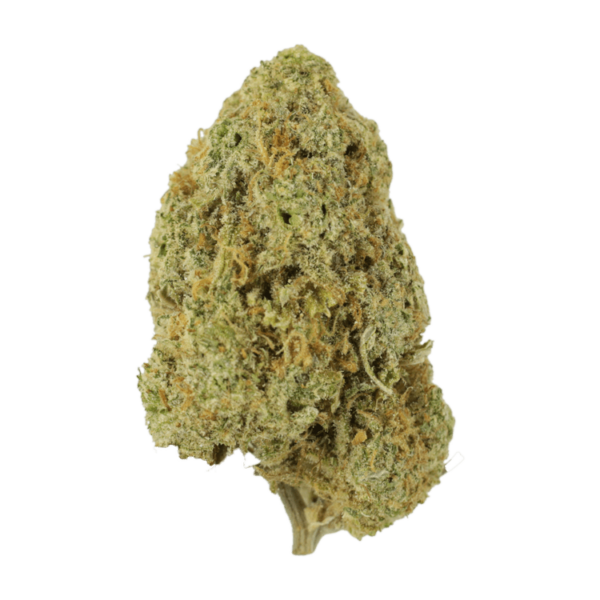 Sugar Pine | West Coast Cannabis Canada