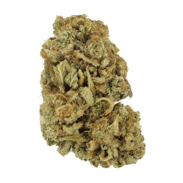 Blackwater | West Coast Cannabis Canada
