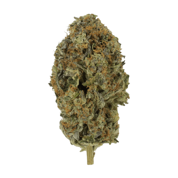 Acapulco Gold | West Coast Cannabis Canada