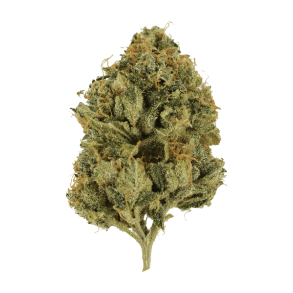 Fire OG | West Coast Cannabis Canada