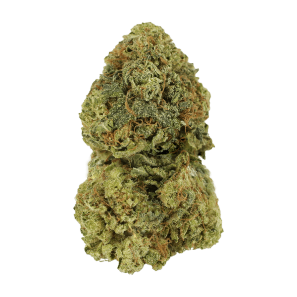 Critical Mass | West Coast Cannabis Canada