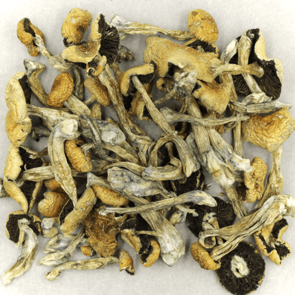 Puerto Rican | West Coast Cannabis Canada