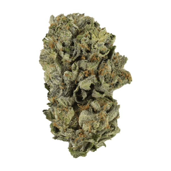 Cerebro Haze | West Coast Cannabis Canada