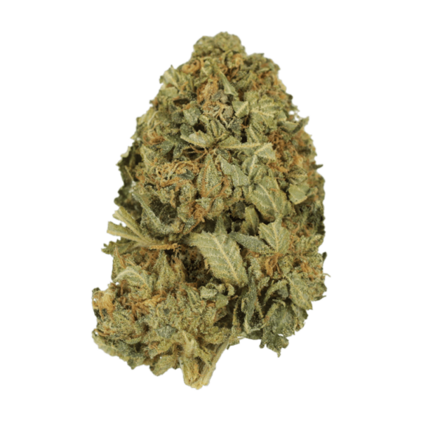 G13 | West Coast Cannabis Canada