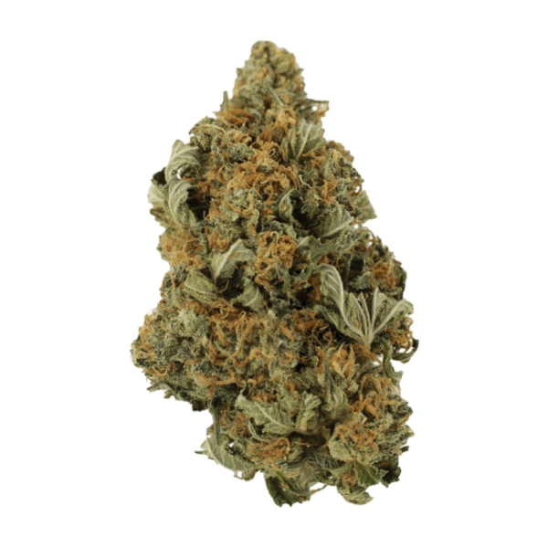 God’s Bubba | West Coast Cannabis Canada