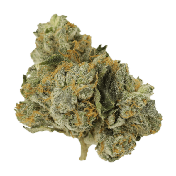 Mango Cream | West Coast Cannabis Canada