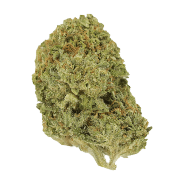 Mango Cream | West Coast Cannabis Canada