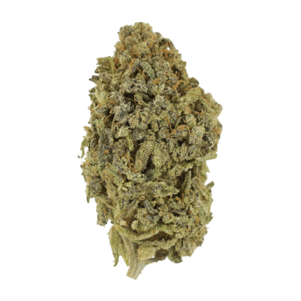 Watermelon Gelato | West Coast Cannabis Canada