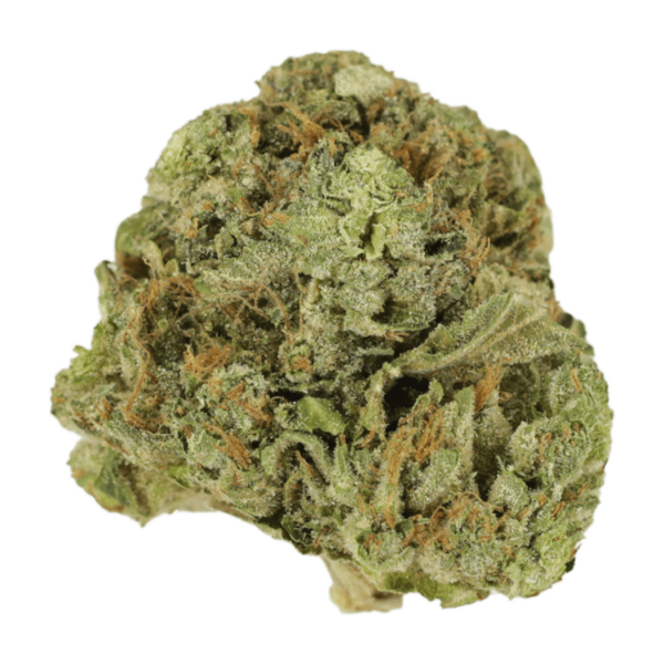 Mango Cream | West Coast Cannabis Canada