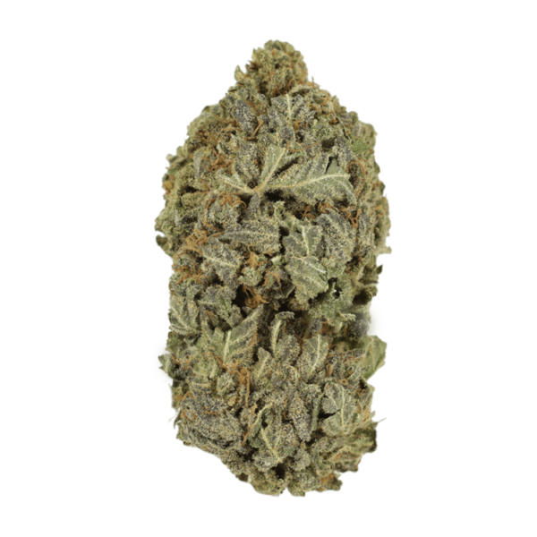 Purple Dream | West Coast Cannabis Canada