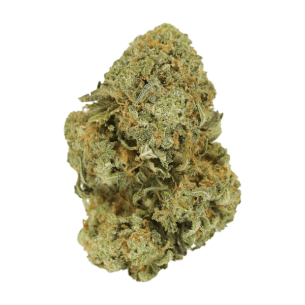 Watermelon Gelato | West Coast Cannabis Canada