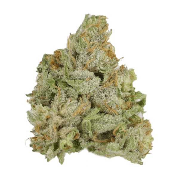 El Jefe | West Coast Cannabis Canada