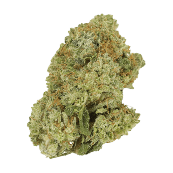 Malawi Gold | West Coast Cannabis Canada