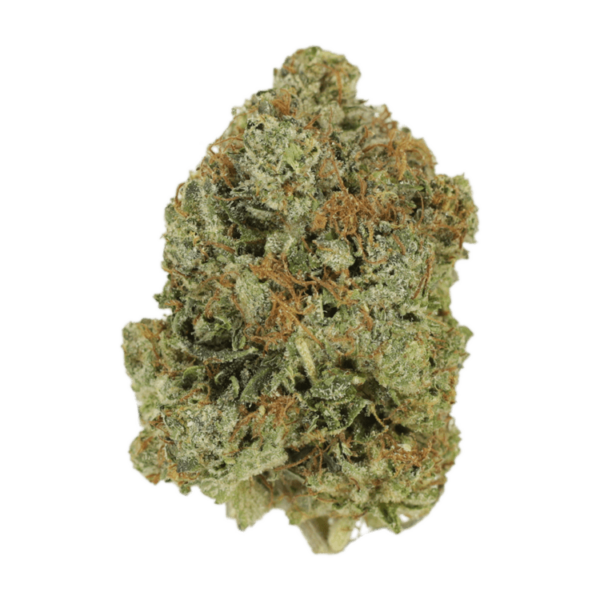 Jack Herer (popcorn) | West Coast Cannabis Canada