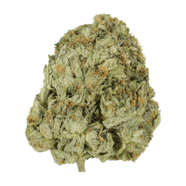 Godzilla Glue | West Coast Cannabis Canada