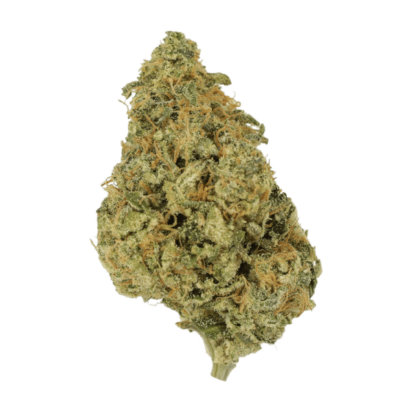 OG Lemon Haze | West Coast Cannabis Canada
