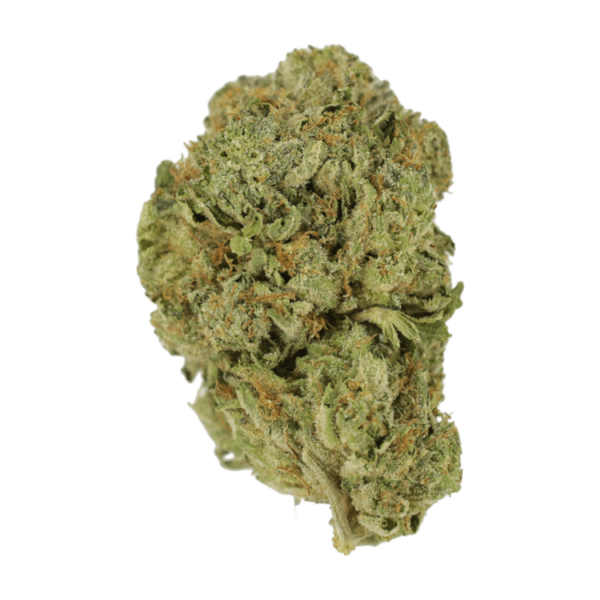 Super Blue Dream | West Coast Cannabis Canada