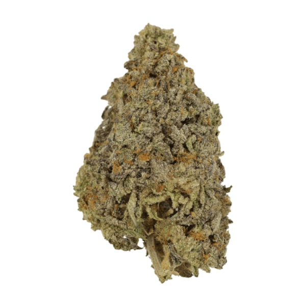 Frosty Gelato | West Coast Cannabis Canada