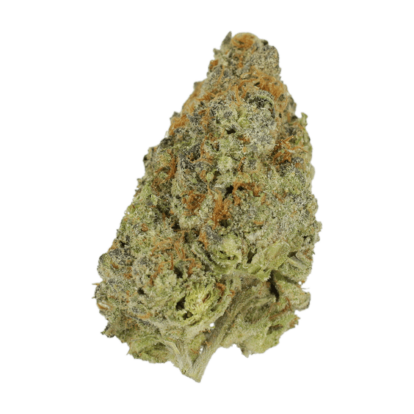 Lilac Diesel | West Coast Cannabis Canada