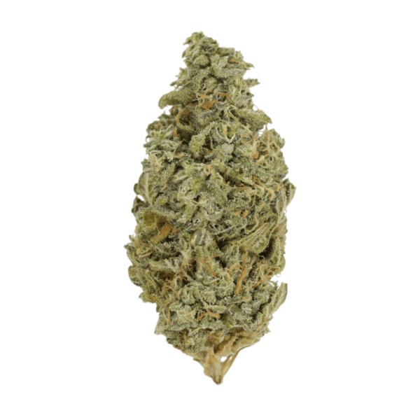 Orange Cookies | West Coast Cannabis Canada