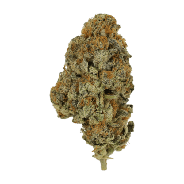 Key Lime Pie | West Coast Cannabis Canada