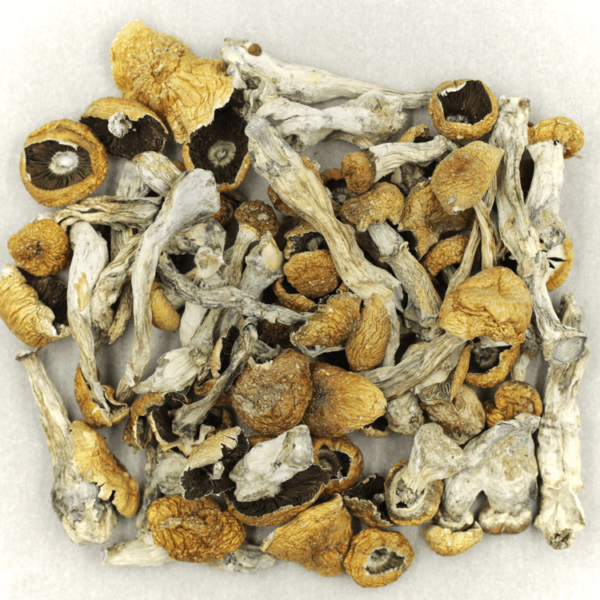 Orissa | West Coast Cannabis Canada