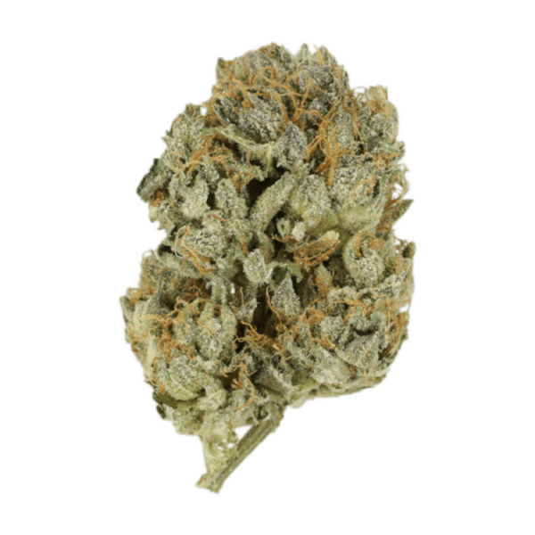 Kashmir Kush | West Coast Cannabis Canada