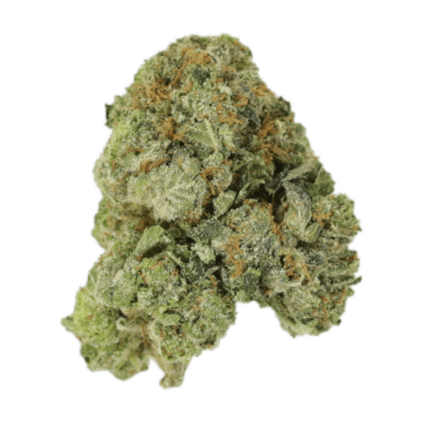 White Russian | West Coast Cannabis Canada