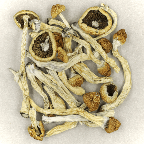 Texas Yellow Cap | West Coast Cannabis Canada