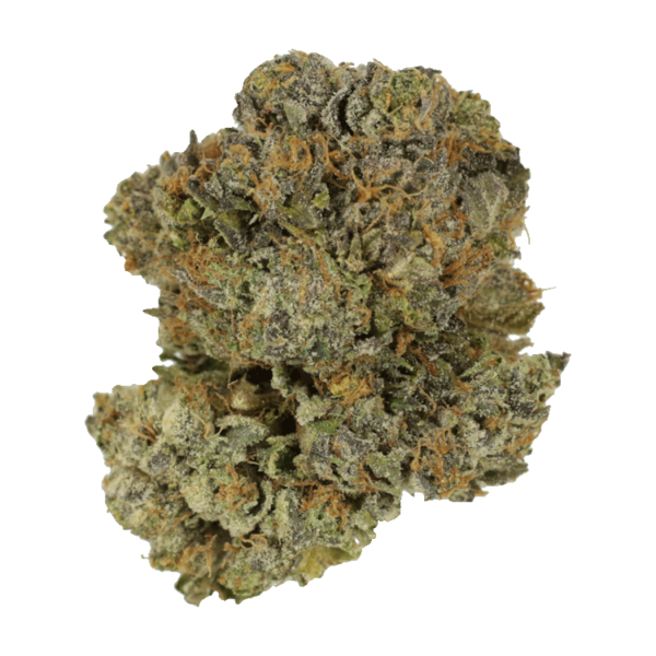 Chocolate Mint | West Coast Cannabis Canada