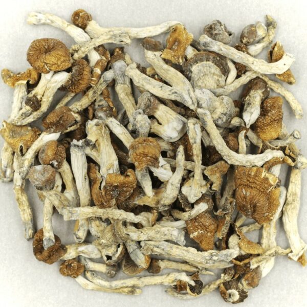 Florida White | West Coast Cannabis Canada