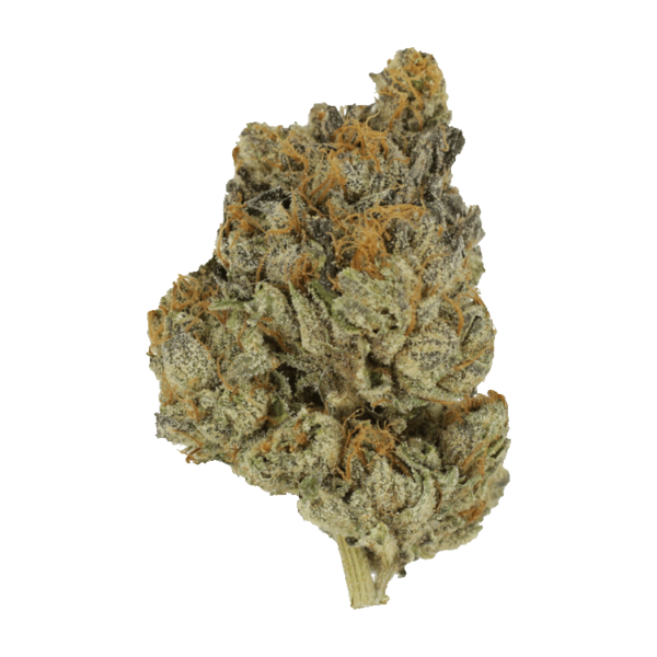 Divorce Cake | West Coast Cannabis Canada