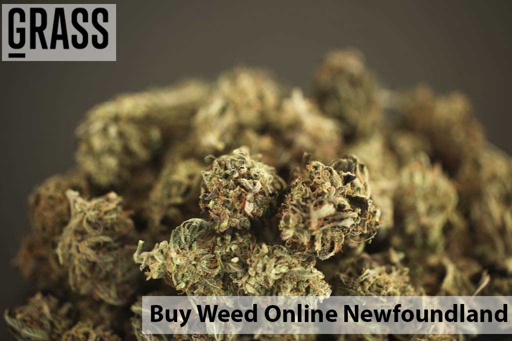 Buy cannabis Online in Newfoundland Canada